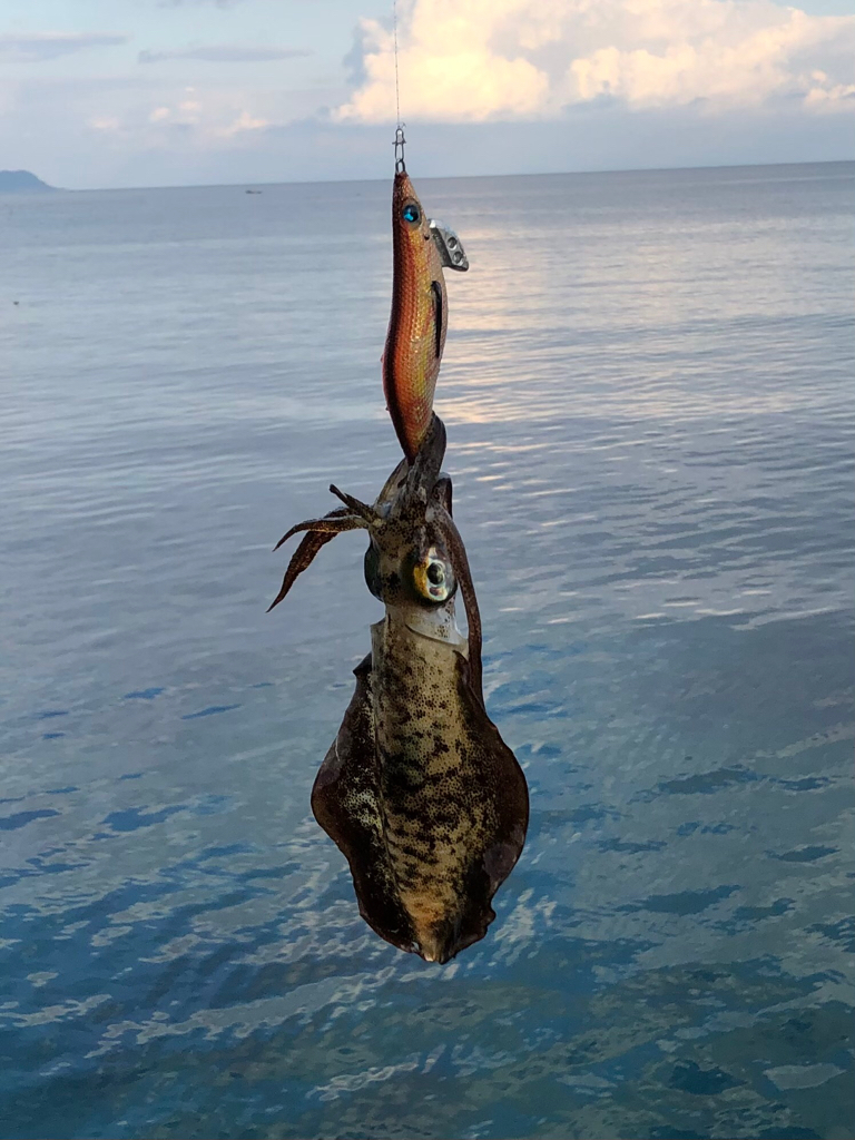 月食を見ながら……