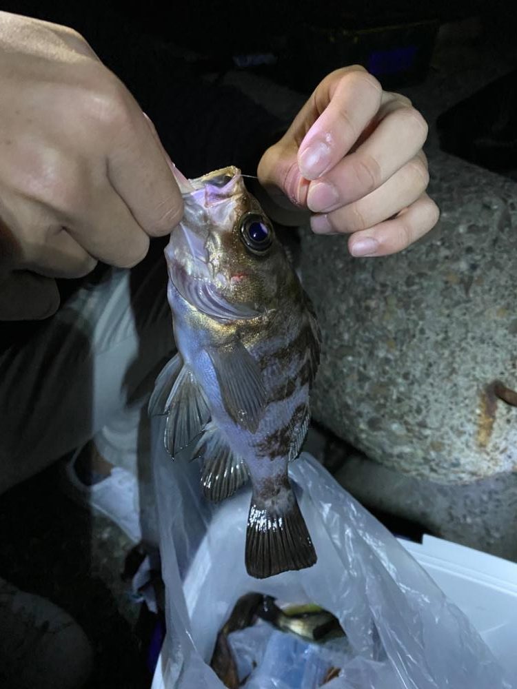 初エビ撒き　たのし！