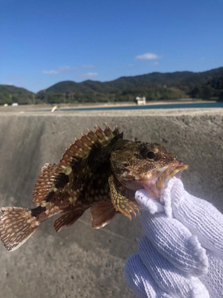 子供達と五目釣り