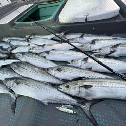 サゴシキャスティングゲーム