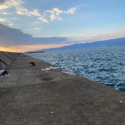 ルアーには食わない