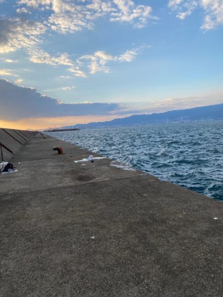 ルアーには食わない