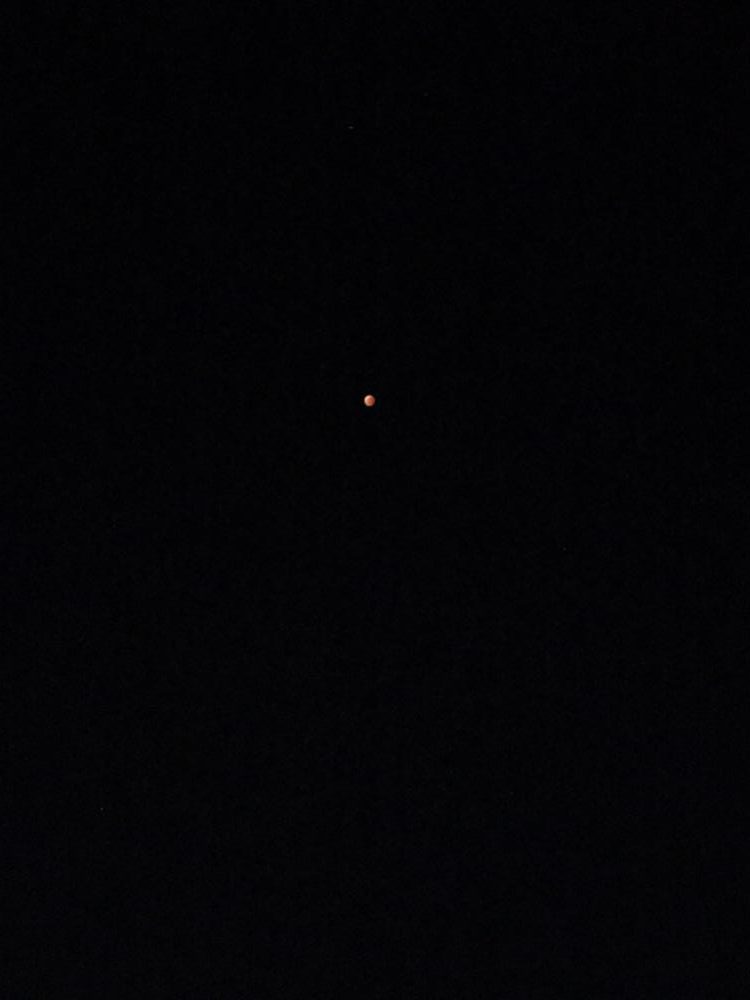 イカ釣りのはずが太刀魚!