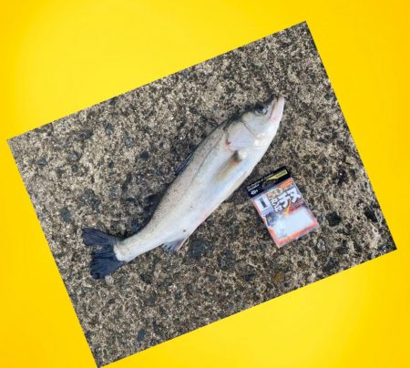 少しずつ雨が降り