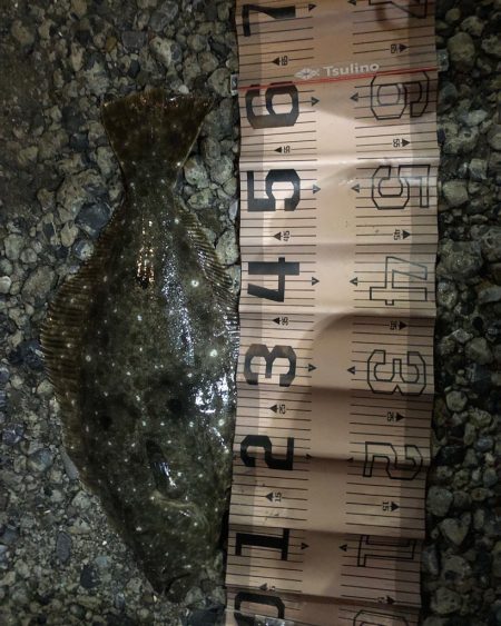 ナイトサーフ　ヒラメ