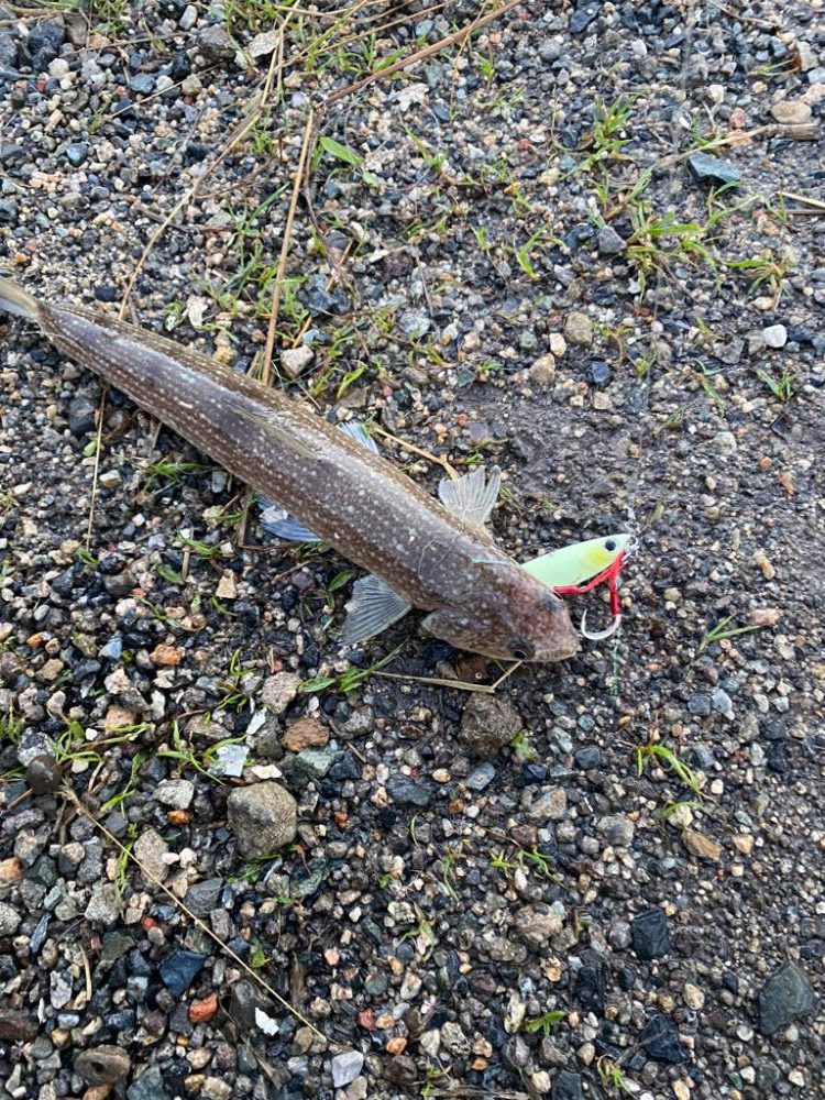 雨降り後はダメ