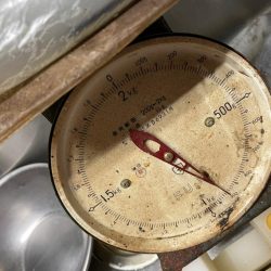 休憩Timeにアオリイカ狙い