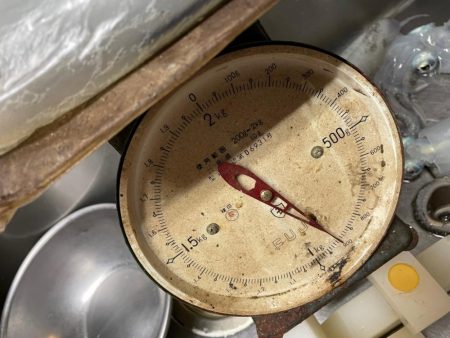 休憩Timeにアオリイカ狙い