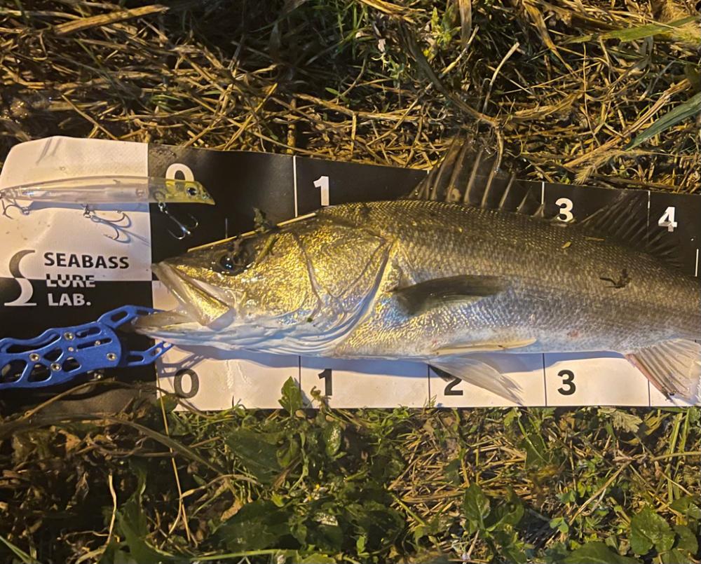 激渋の中出せた貴重な一本