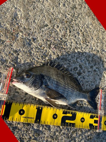 小さいアタリで掛かると強い引き