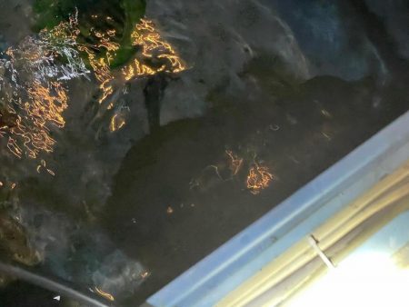 仕事の休憩時間に