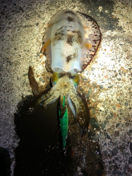 【伊根〜京丹後】川の流れのように