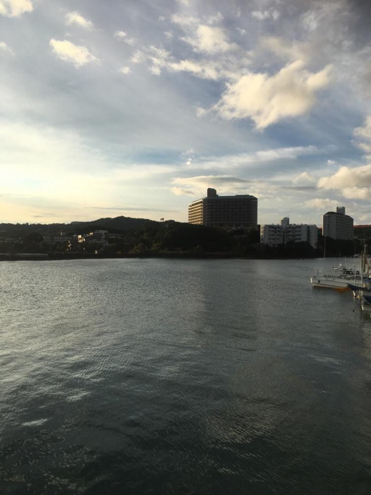 エソでした、、、