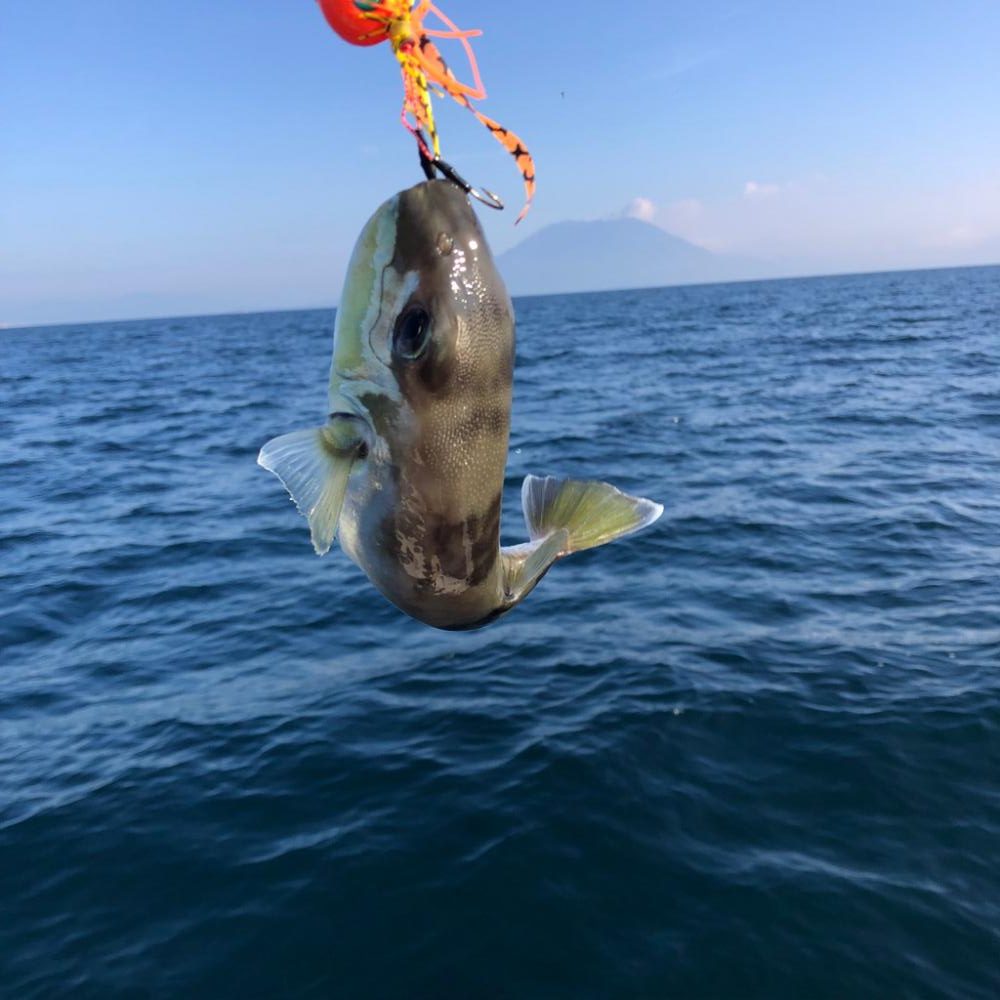 どうにか釣れました🐟