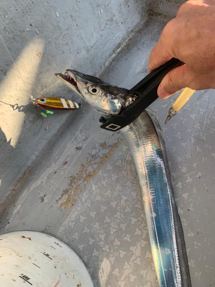 とりあえず数は釣れました。