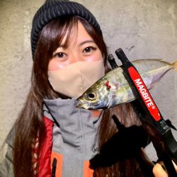 高松アジング！