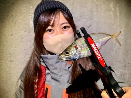 高松アジング！