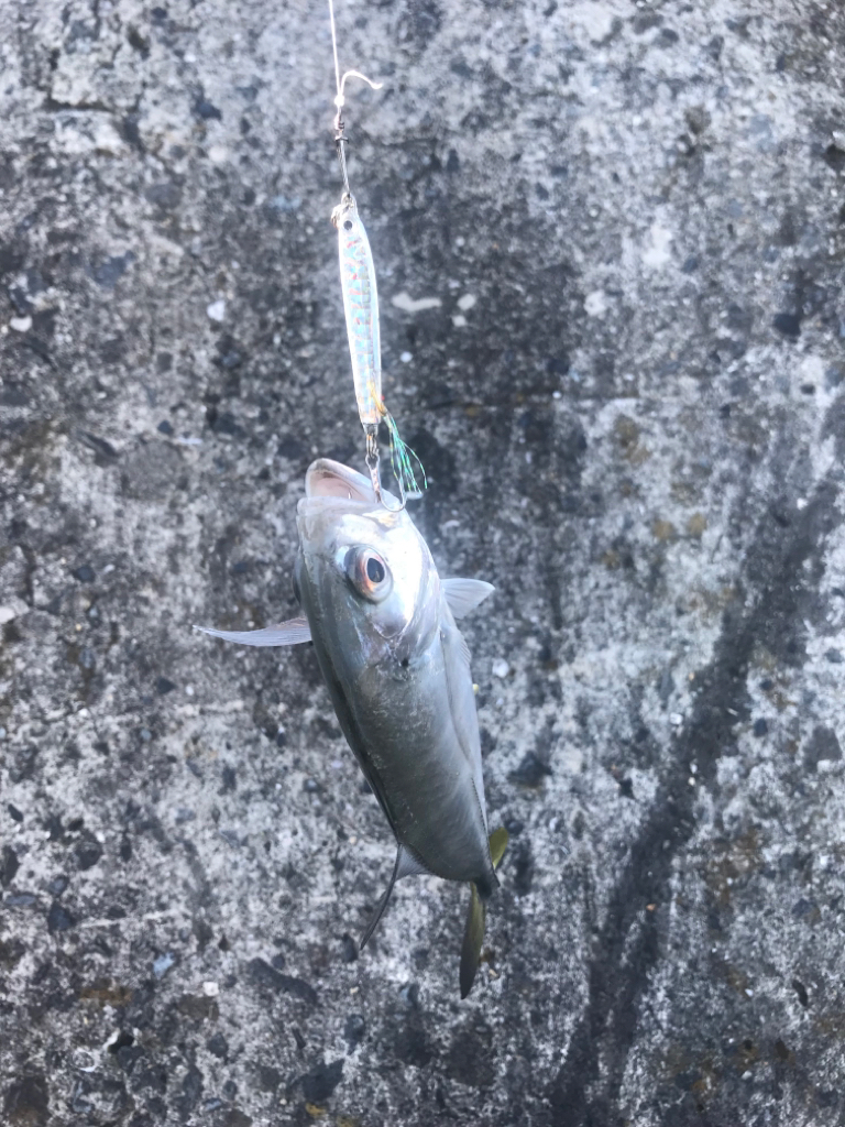 いつもの場所で