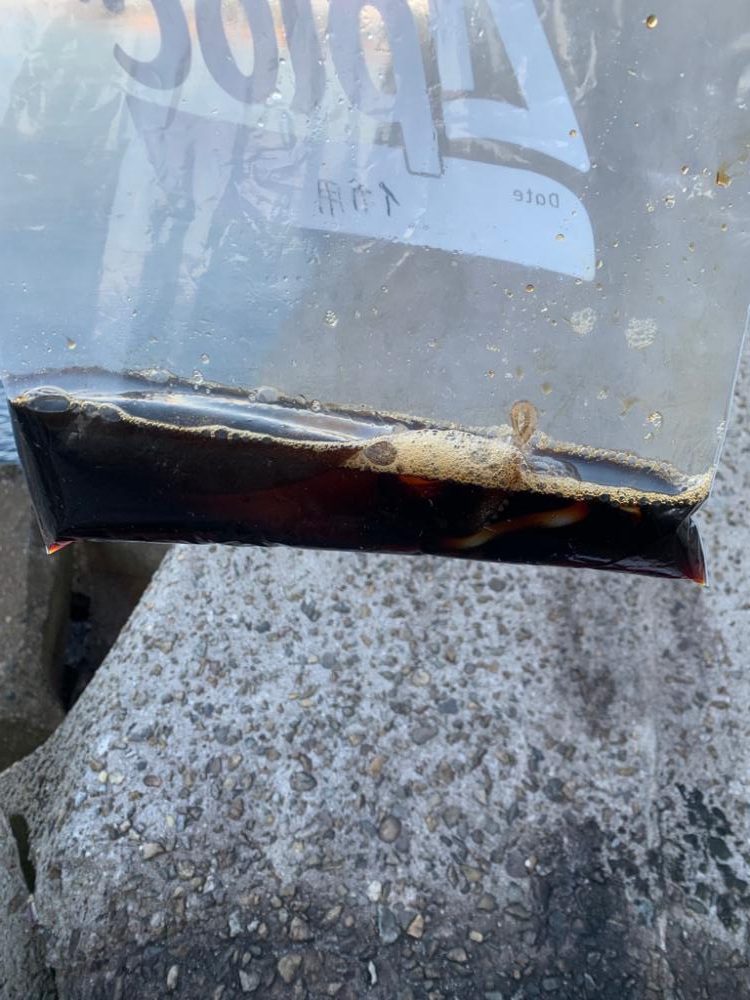 イマイチの釣果…