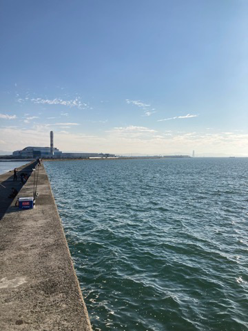 海でも祭りが・・・