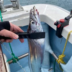 波にやられました。