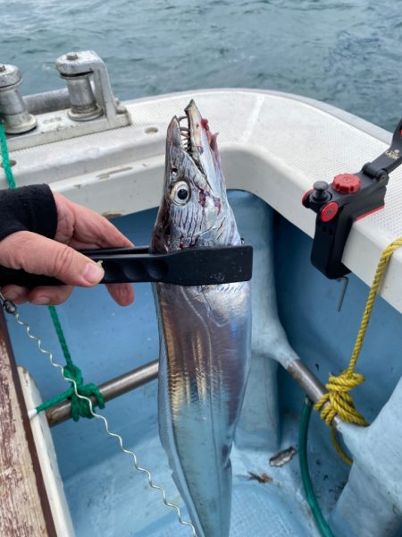 波にやられました。