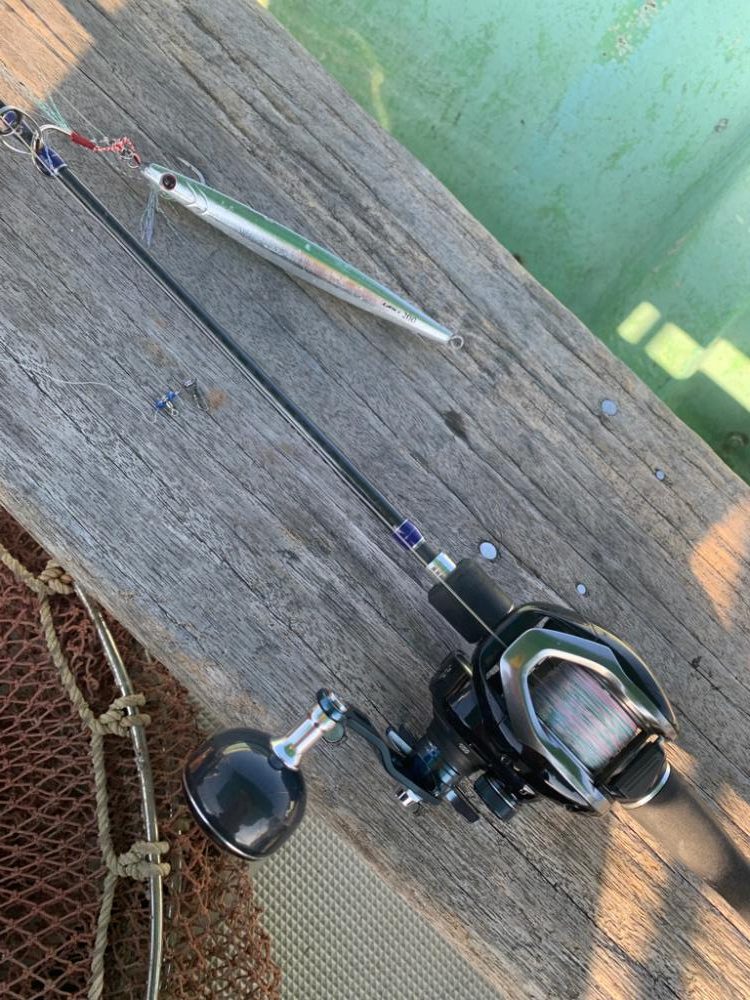 青物不発 後 タチウオ