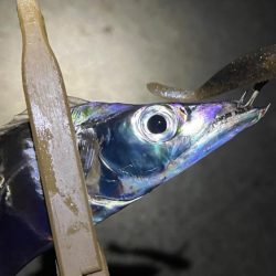 五目チャレンジ