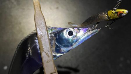 五目チャレンジ