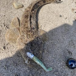 ライトゲームin河口