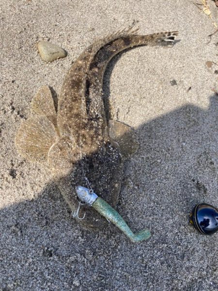 ライトゲームin河口