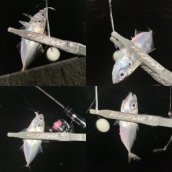 シャローフリークをぶん投げに