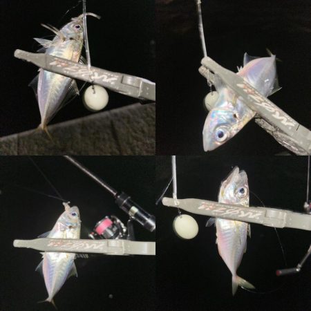 シャローフリークをぶん投げに