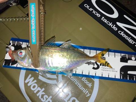 納得サイズ出ました