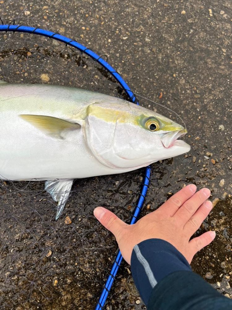 雨の中呑ませリベンジ