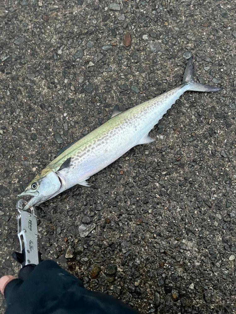 爆風に押され…