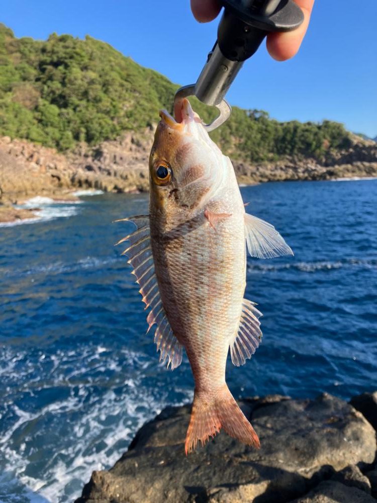 久々の磯1日目