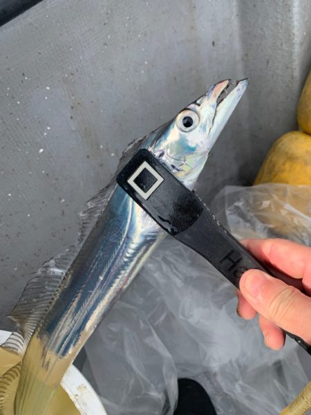 今期最悪の釣果⤵︎