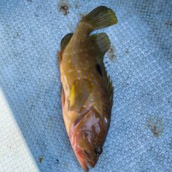 ジギング修行!!