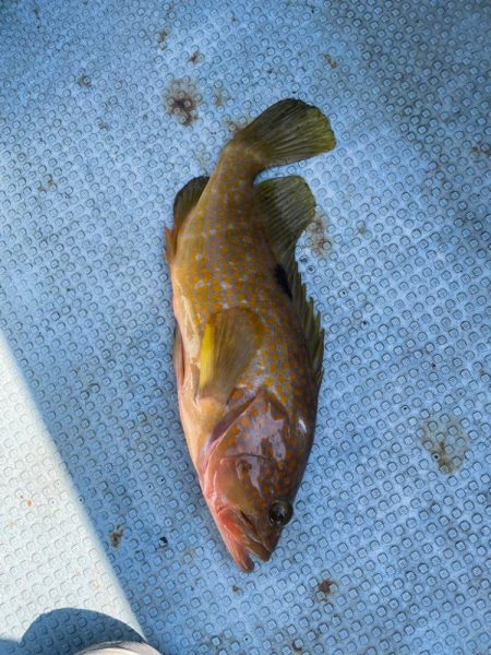 ジギング修行!!