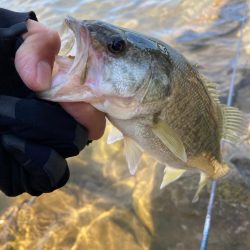 まだまだ釣れる２桁釣果