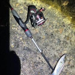 シーズン終盤戦！