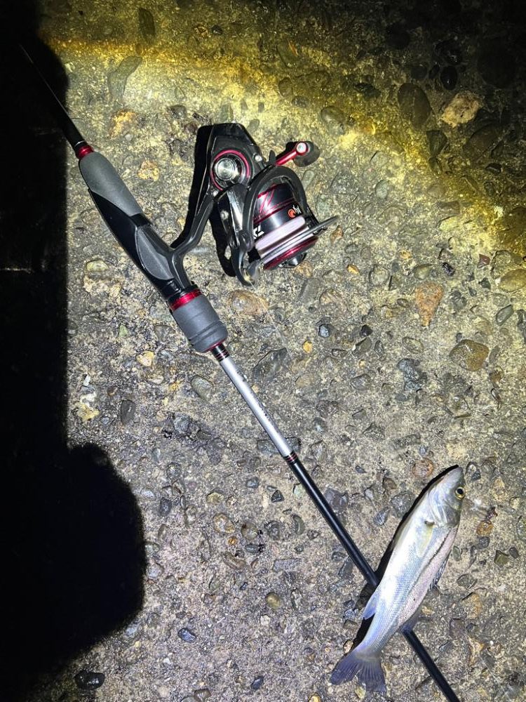 シーズン終盤戦！