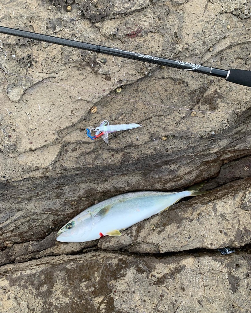 久しぶりロックショアで反省