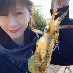 デイエギングっ⭐︎