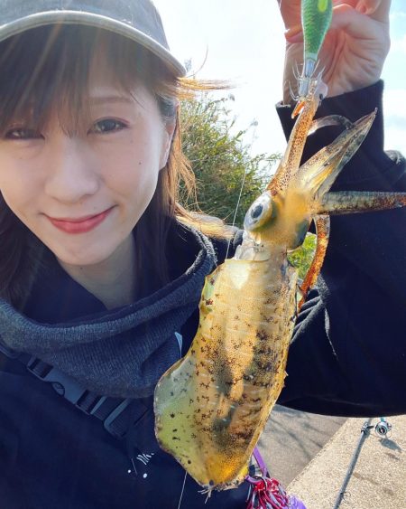 デイエギングっ⭐︎