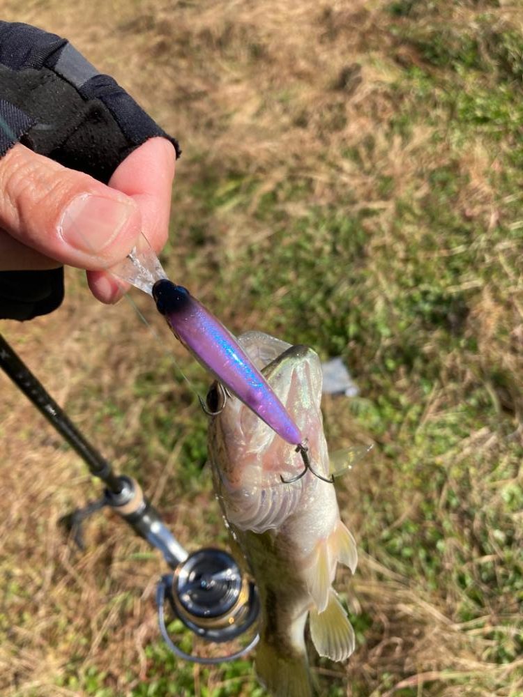 北湖も秋モード