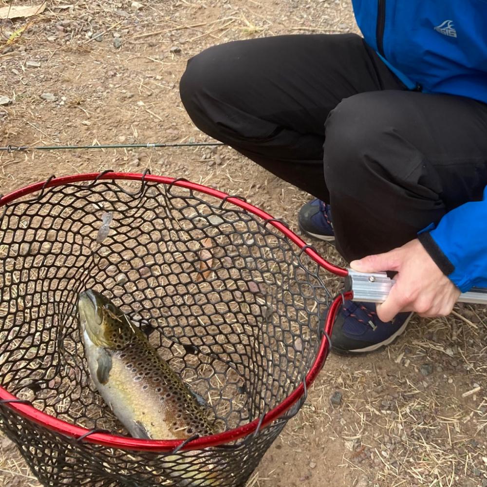 フィッシャーリゾート庄原コーホーめちゃ釣れる!