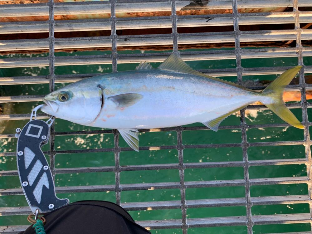 10月ラスト！！