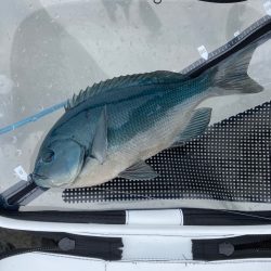 沖磯でグレ釣り